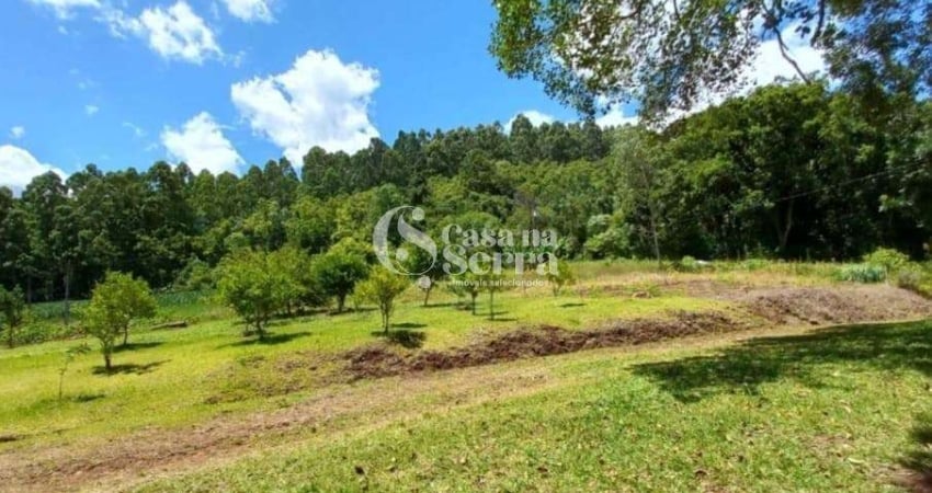 CHÁCARA À VENDA NO INTERIOR DE NOVA PETRÓPOLIS, Linha Pinhal Alto, Nova Petropolis - RS