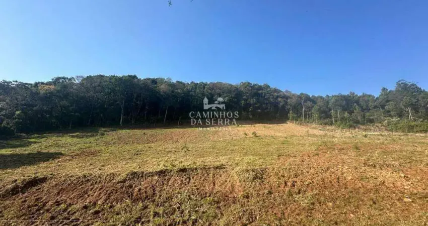 Terreno à venda na Rua dos Ackermann, 02, Canto Schenkel, Nova Petrópolis