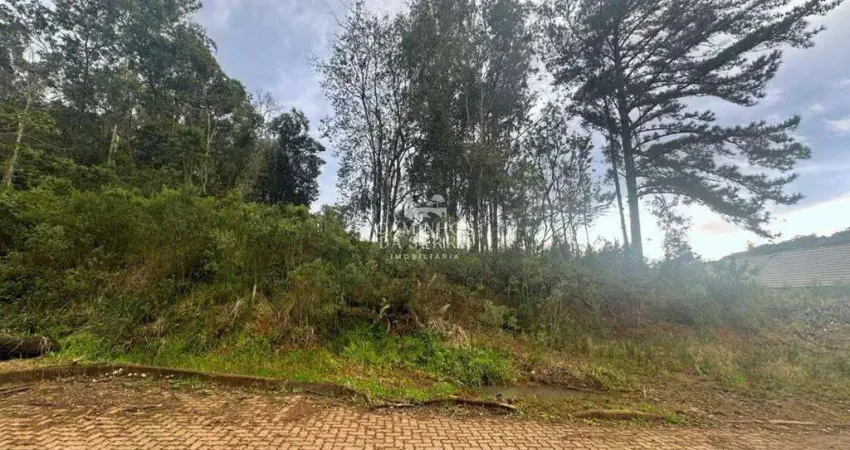 Terreno à venda na LOTE 9 RUA A, 2, Linha Imperial, Nova Petrópolis