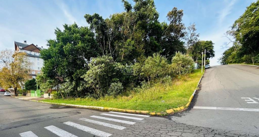 AMPLO TERRENO À VENDA A 3MIN DA PRAÇA DAS FLORES EM NOVA PETRÓPOLIS - OPORTUNIDADE DE INVESTIMENTO