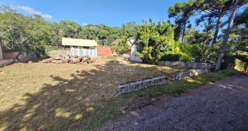 TERRENO RESIDENCIAL NO CENTRO DE NOVA PETRÓPOLIS, Nova Petropolis - RS