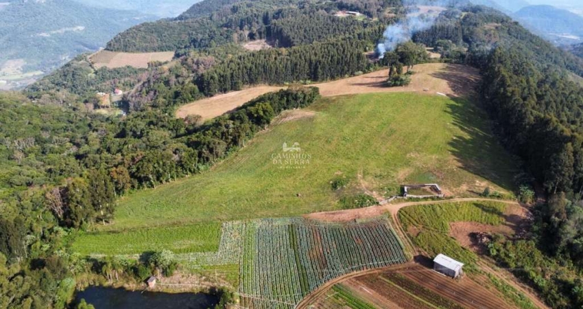ÁREA DE TERRAS À VENDA NO ALTO DA MONTANHA, Galópolis, Caxias do Sul - RS