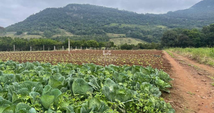 ÁREA DE TERRA EM SÃO JOSE DO CAÍ À VENDA, São José Do Cai, Nova Petropolis - RS