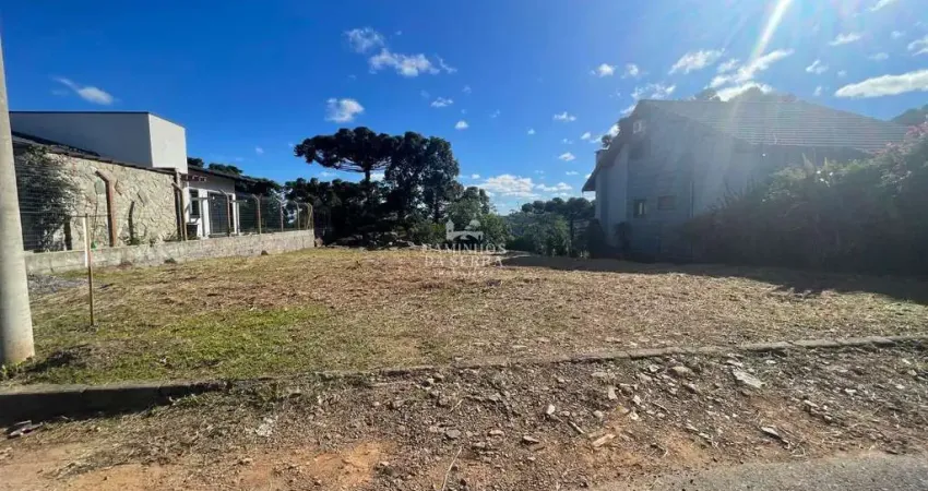 AMPLO TERRENO NO LOT. THANENWALD - PINHAL ALTO, Linha Pinhal Alto, Nova Petropolis - RS