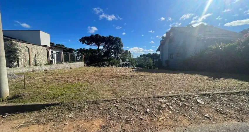 Terreno à venda na Rua 06, acesso Rua Arroio Sander, 01, Pinhal Alto, Nova Petrópolis
