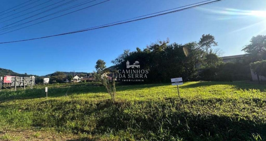 TERRENO PRÓXIMO A BR 116 À VENDA EM PICADA CAFÉ/RS, Centro, Picada Cafe - RS
