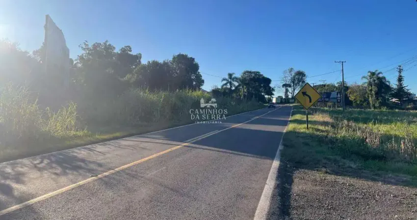Terreno comercial à venda na rs 235, 01, Linha Araripe, Nova Petrópolis