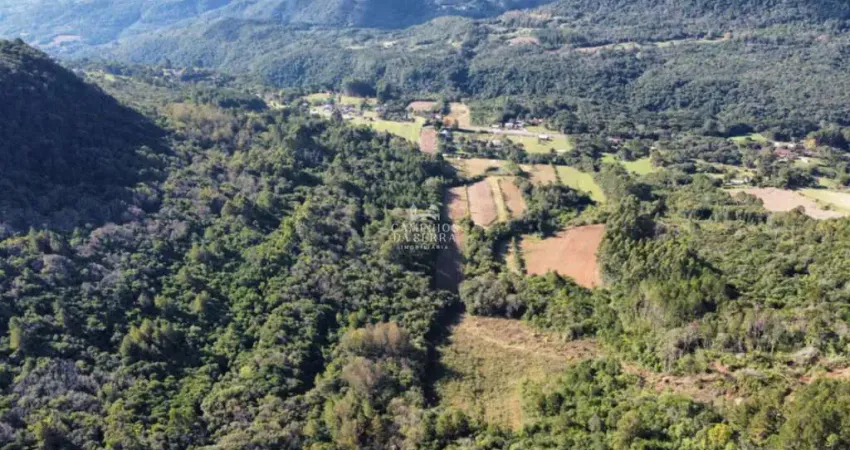 AREA RURAL - FRENTE PARA RS 235 PRÓXIMA A GRAMADO, Linha Araripe, Nova Petropolis - RS