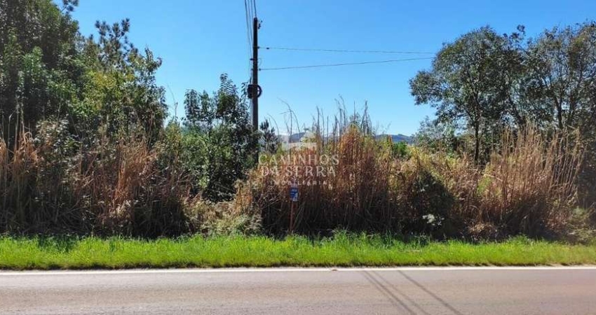 ÁREA COM 10 HECTARES À VENDA, ENTRE NOVA PETRÓPOLIS E GRAMADO