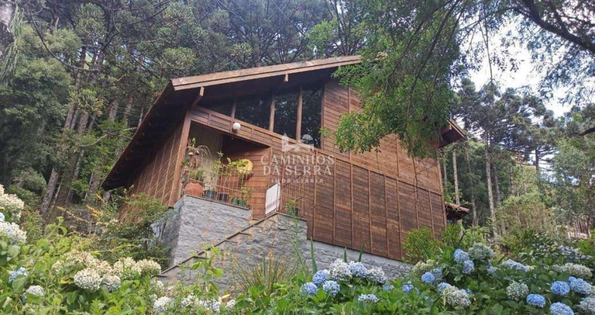 Apartamento com 2 quartos à venda na estrada linha avila alta, Linha Ávila, Gramado