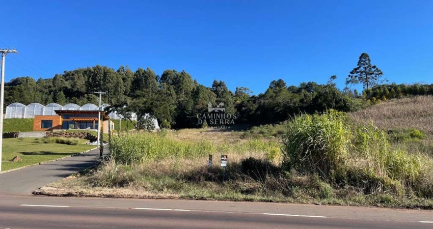 Terreno à venda na rs 235, Centro, Nova Petrópolis