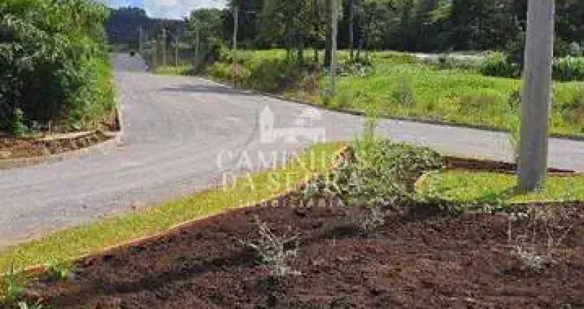 Terreno à venda na AV VICENTE PRIETO, 02, Linha Imperial, Nova Petrópolis