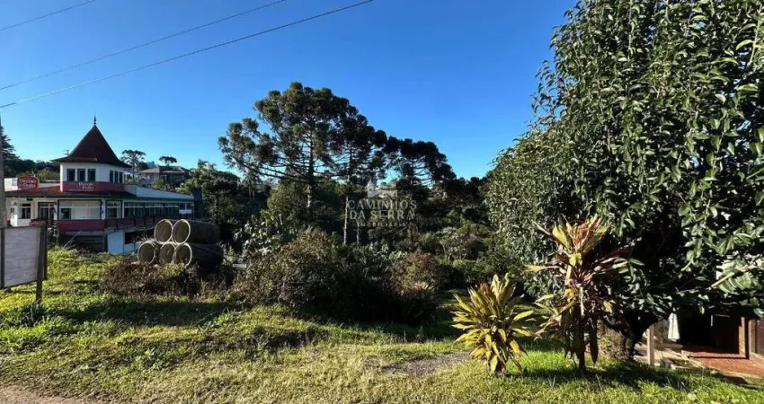 Terreno comercial à venda na Avenida 15 de Novembro, Pousada da Neve, Nova Petrópolis