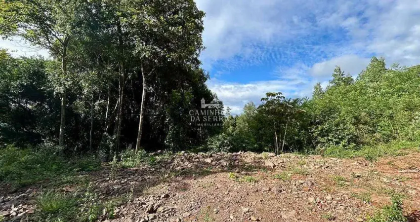 Terreno à venda na Rua Veranópolis, sn, Pousada da Neve, Nova Petrópolis