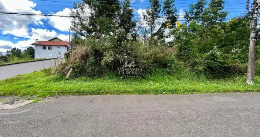 Terreno à venda na Rua da Paz, Logradouro, Nova Petrópolis