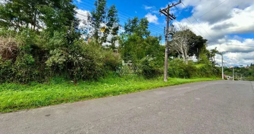 Terreno à venda na Rua da Paz, Logradouro, Nova Petrópolis