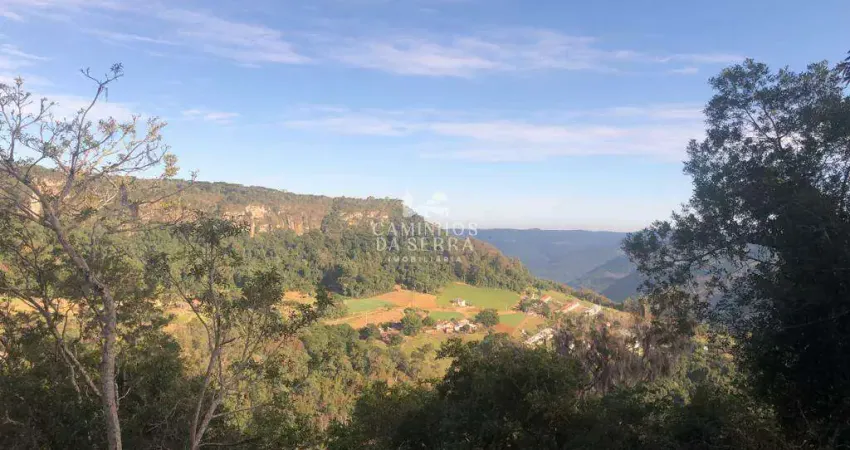 Fazenda à venda na Rua José Grings, 1, Linha Imperial, Nova Petrópolis