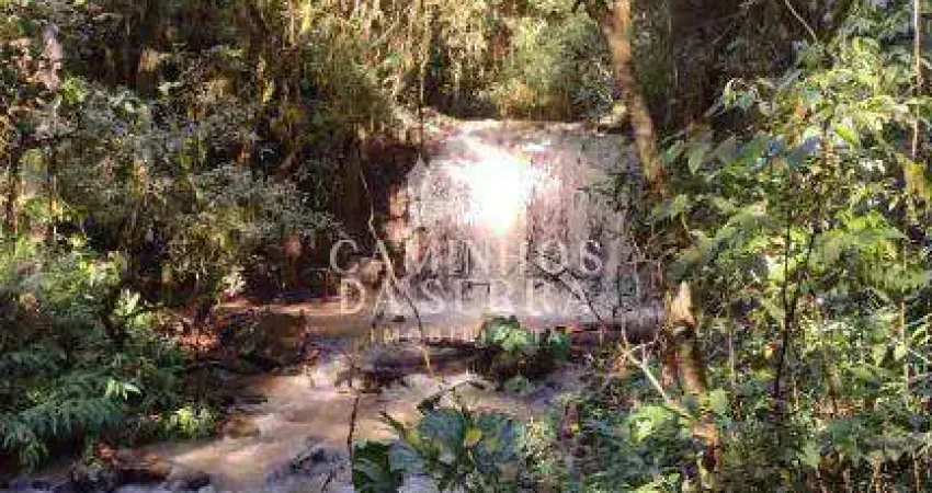 Fazenda à venda na Rua Aloysio Arthur Mombach, 1, Vila Olinda, Nova Petrópolis