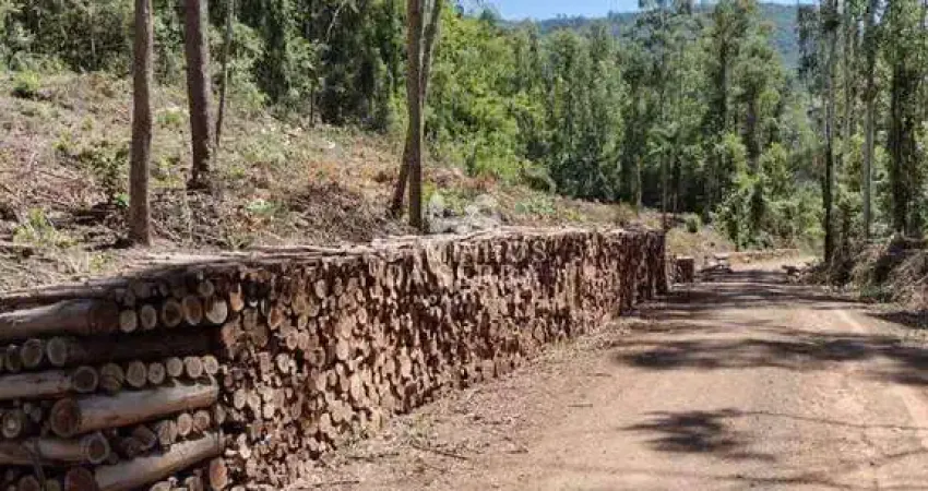 Área de 2,1 hectares à venda, a 10km do centro de nova petrópolis