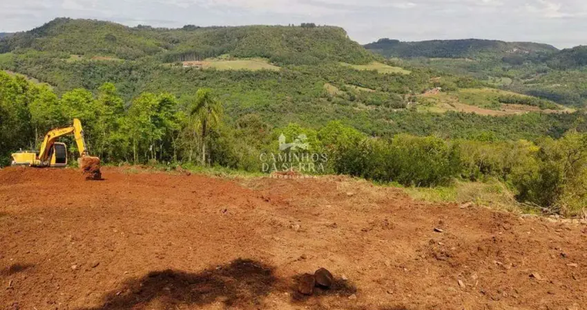 Fazenda à venda na Rua Emílio Dinnebier Filho, 2, Linha Brasil, Nova Petrópolis