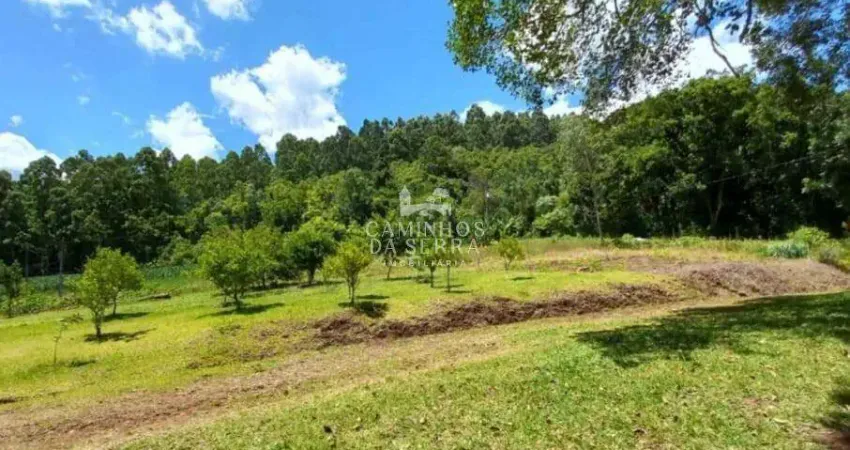 Fazenda à venda na Pinhal Alto, Pinhal Alto, Nova Petrópolis