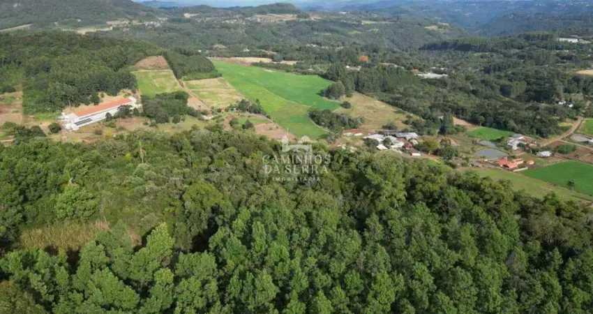 Fazenda à venda na Rua Antonio Schoeller, Linha Imperial, Nova Petrópolis