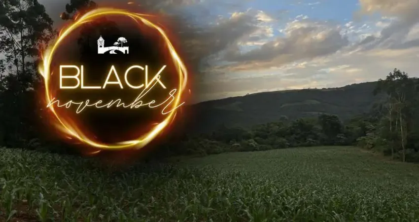 Fazenda à venda na vicente preito, Pinhal Alto, Nova Petrópolis