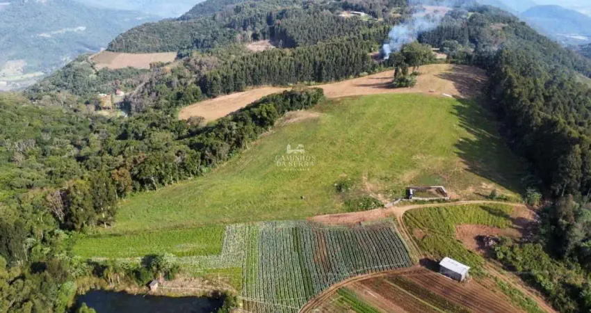 Fazenda à venda na Travessão Tirolez, 01, Galópolis, Caxias do Sul