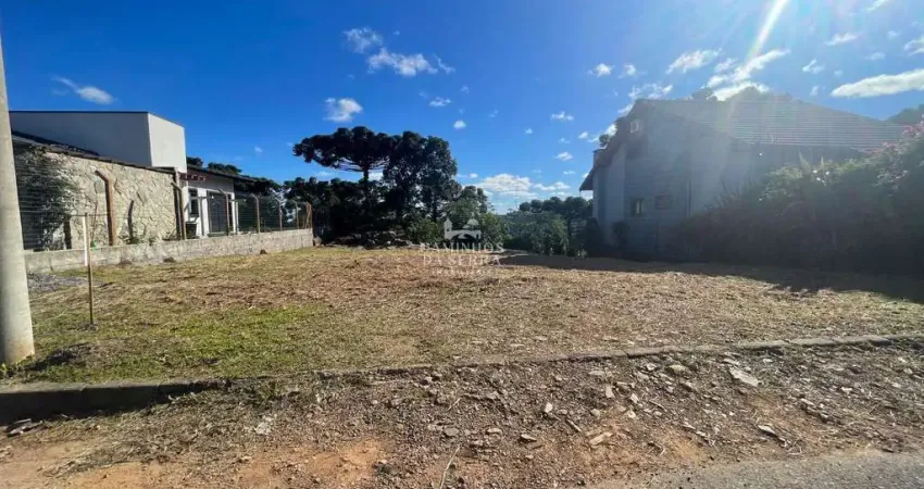 Apartamento à venda na Rua 06, acesso Rua Arroio Sander, 01, Pinhal Alto, Nova Petrópolis
