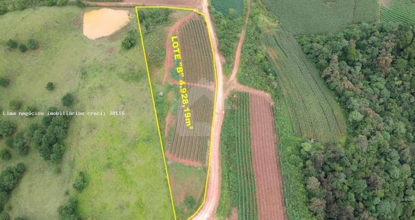 Área Rural para Venda em Campo Magro, Capivara dos Freitas