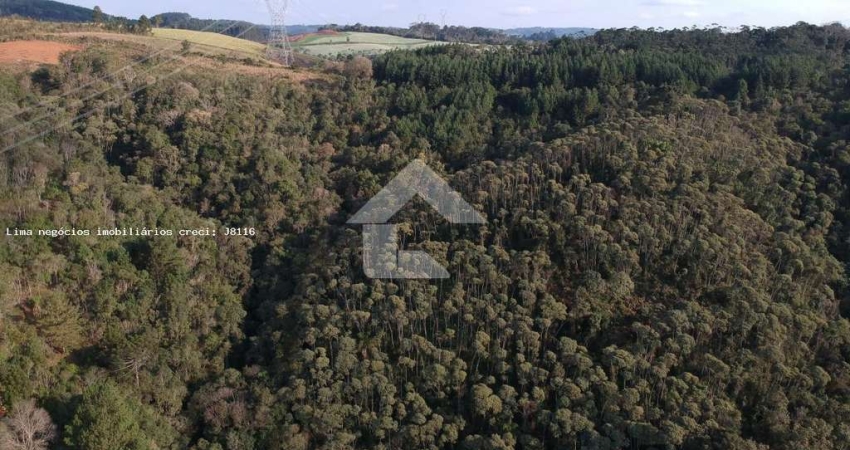 Terreno comercial à venda na Rua São Paulo, S/N, Zona Rural, Campo Magro