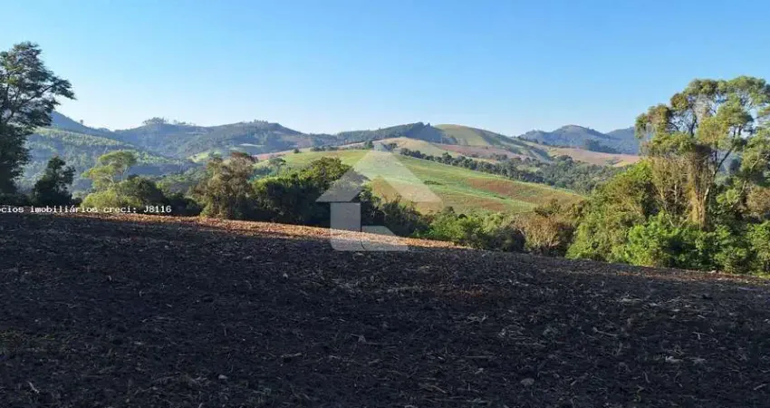 Terreno comercial à venda na Zona Rural, Campo Magro 
