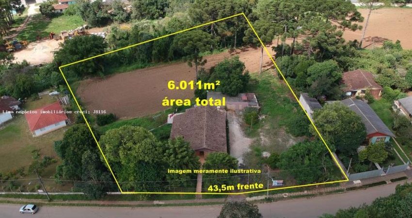 Residencial e Comercial para Venda em Campo Magro, Centro, 2 dormitórios, 1 banheiro