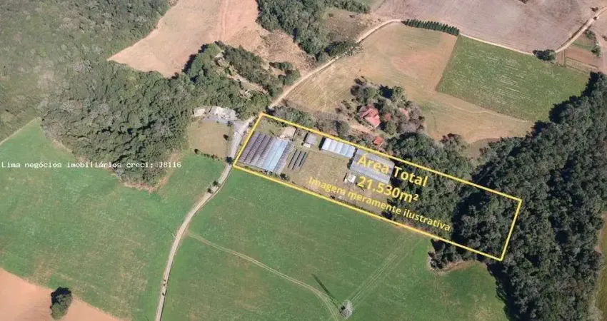 Chácara para Venda em Campo Largo, Colônia Figueiredo, 2 banheiros