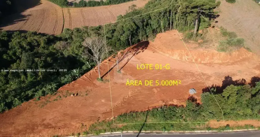 Área para Venda em Campo Magro, Quarteirão São João