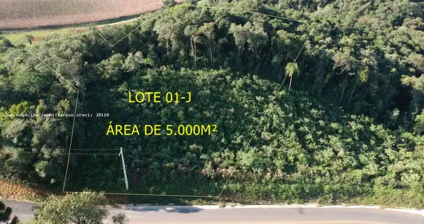 Área para Venda em Campo Magro, Quarteirão São João