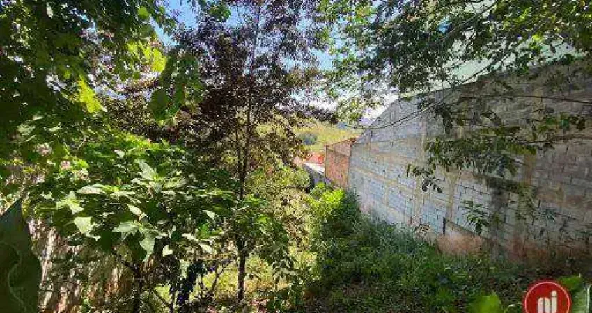 Terreno à venda, 360 m² por R$ 190.000,00 - São Conrado - Brumadinho/MG