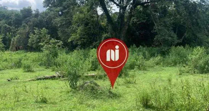 Terreno à venda, 1000 m² por r$ 80.000,00 - colégio - brumadinho/mg