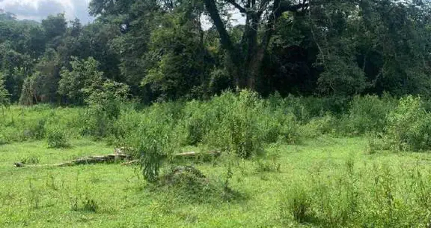 Terreno à venda, 1000 m² por r$ 80.000,00 - colégio - brumadinho/mg