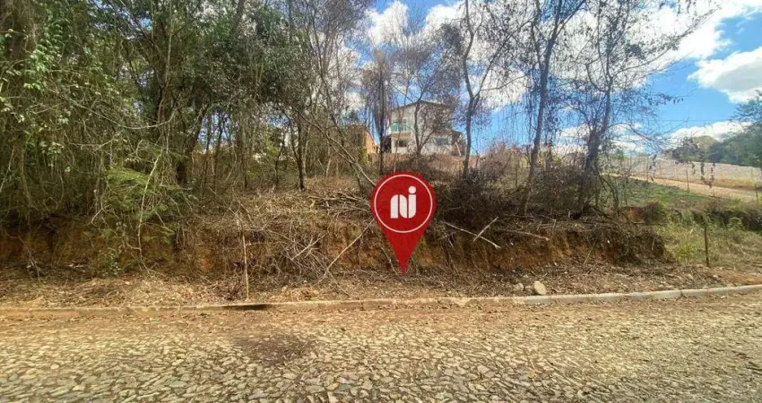 Terreno à venda, 374 m² por r$ 110.000,00 - salgado filhos - brumadinho/mg