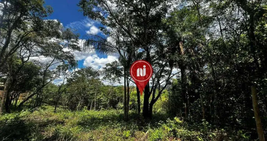 Terreno à venda, 1800 m² por r$ 220.000,00 - aranha - brumadinho/mg