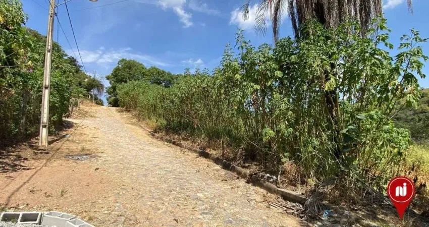 Terreno à venda, 4000 m² por r$ 300.000 - quintas do rio das águas claras - brumadinho/mg