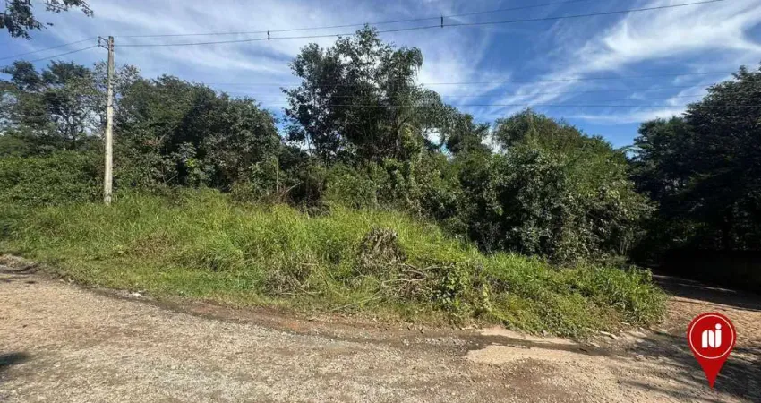 Terreno à venda, 3800 m² por R$ 300.000 - Parque do Lago - Brumadinho/MG