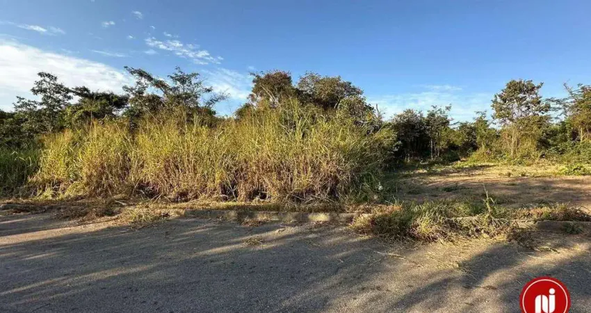 Terreno à venda, 1000 m² por r$ 275.000,00 - condomínio asa ville - brumadinho/mg