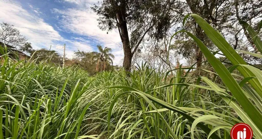 Terreno à venda, 1000 m² por r$ 150.000 - retiro do brumado - brumadinho/mg