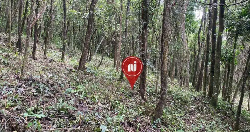 Terreno à venda, 1000 m² por r$ 200.000,00 - casa branca - brumadinho/mg