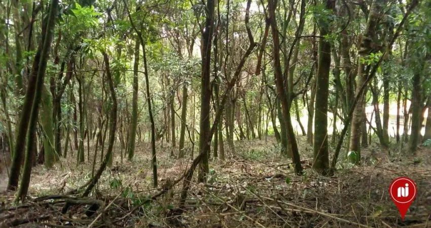 Terreno à venda, 3300 m² por r$ 260.000 - aranha - brumadinho/minas gerais