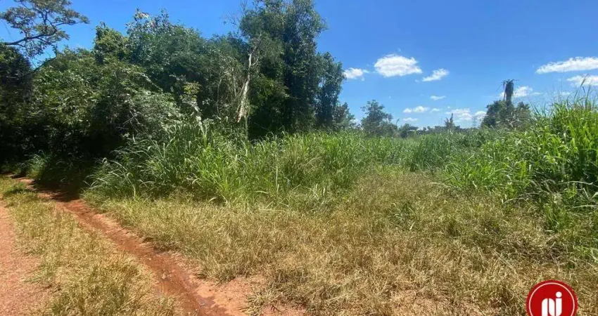 Terreno à venda, 1000 m² por R$ 75.000,00 - Bom Jardim - Mário Campos/MG