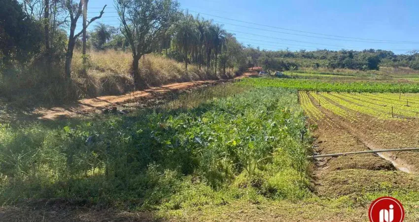 Terreno à venda, 810 m² por R$ 200.000 - Fazenda Lambari - Sarzedo/MG