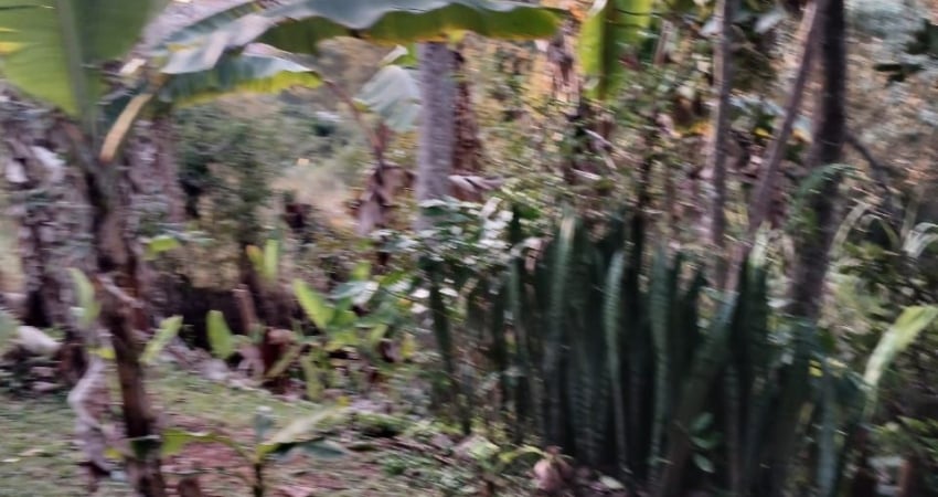 Chácara / sítio com 1 quarto para alugar no Taboão, São Roque 